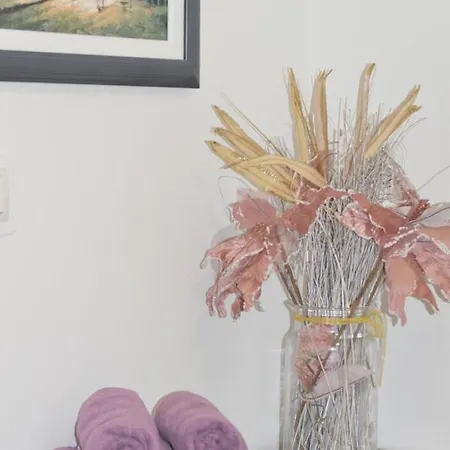 Lipa Mare דירה *