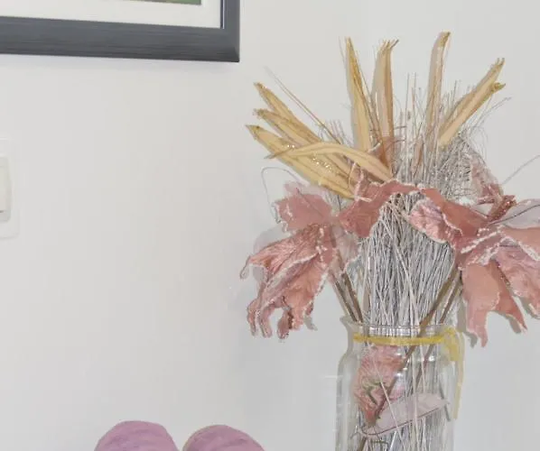 Lipa Mare Lejlighed *